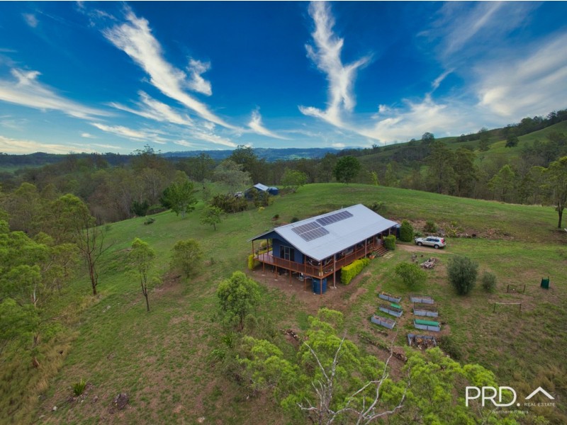 Collins Creek NSW 2474