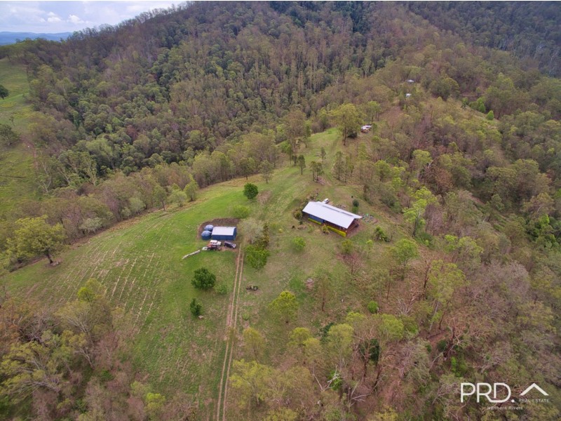 Collins Creek NSW 2474