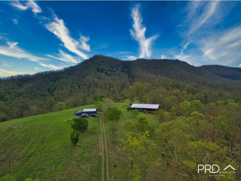 Collins Creek NSW 2474