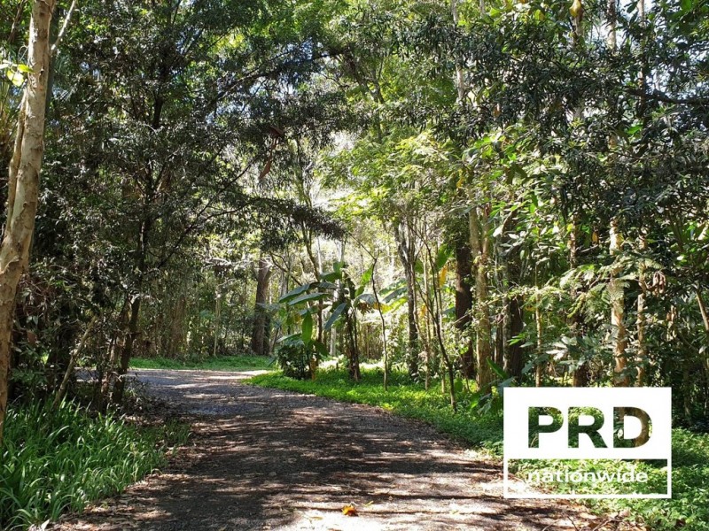 294 Gungas Road, Nimbin NSW 2480