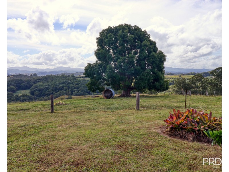 18 Beddoes Road, Modanville NSW 2480