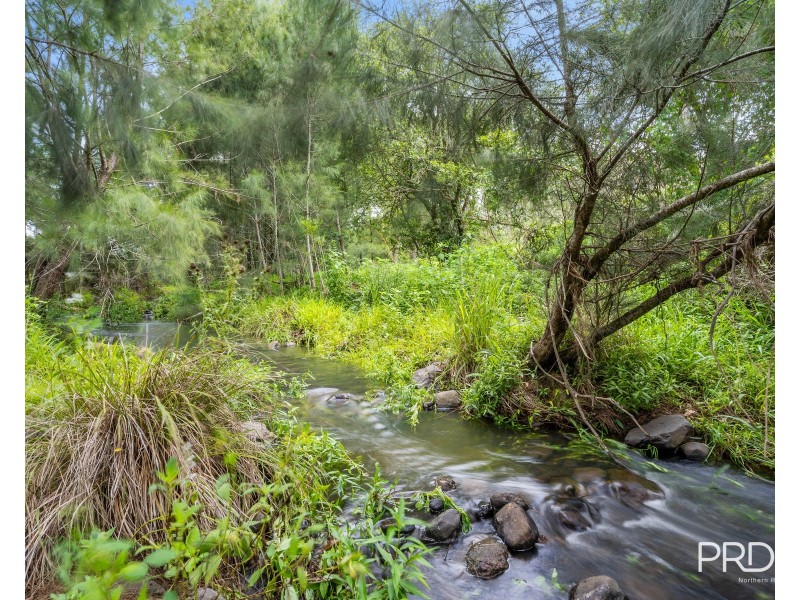 559 Smiths Creek Road, Afterlee via, Kyogle NSW 2474