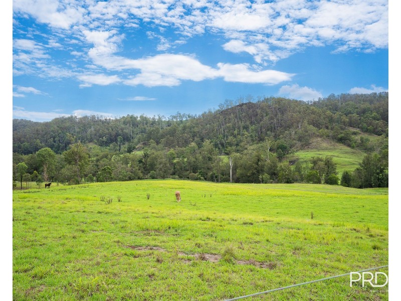 559 Smiths Creek Road, Afterlee via, Kyogle NSW 2474
