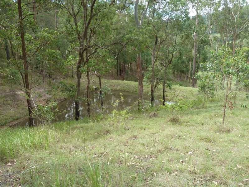 Lot 53 Gorge Creek Road, Kyogle NSW 2474