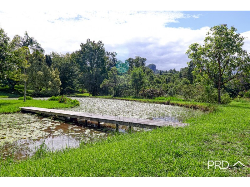 442 Blue Knob Road, Nimbin NSW 2480