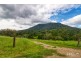 442 Blue Knob Road, Nimbin NSW 2480