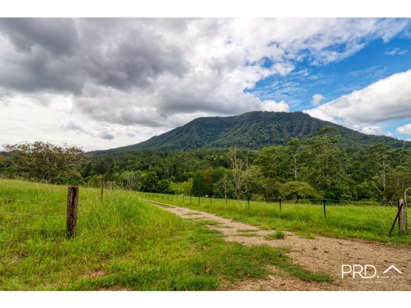 442 Blue Knob Road, Nimbin NSW 2480