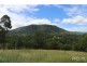 442 Blue Knob Road, Nimbin NSW 2480