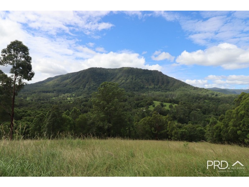 442 Blue Knob Road, Nimbin NSW 2480