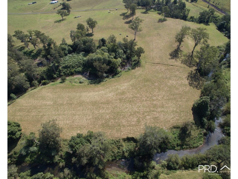 317 Gradys Creek Road, The Risk via, Kyogle NSW 2474