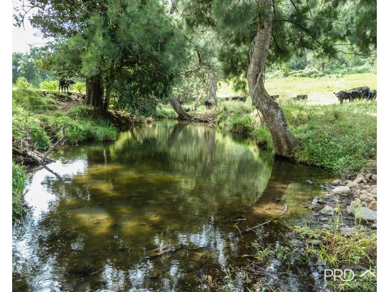 317 Gradys Creek Road, The Risk via, Kyogle NSW 2474