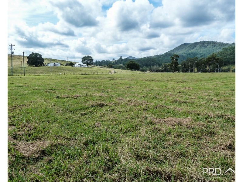 317 Gradys Creek Road, The Risk via, Kyogle NSW 2474