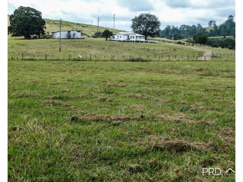 317 Gradys Creek Road, The Risk via, Kyogle NSW 2474