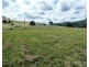 317 Gradys Creek Road, The Risk via, Kyogle NSW 2474