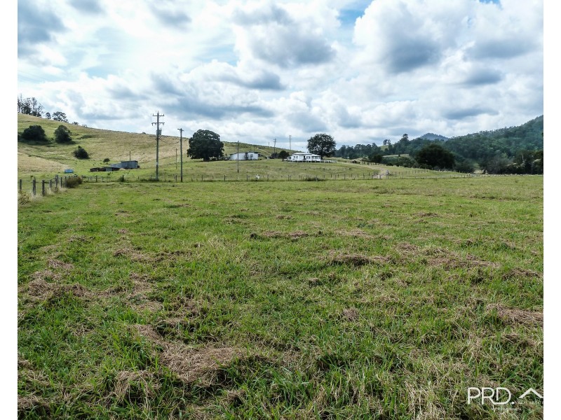 317 Gradys Creek Road, The Risk via, Kyogle NSW 2474
