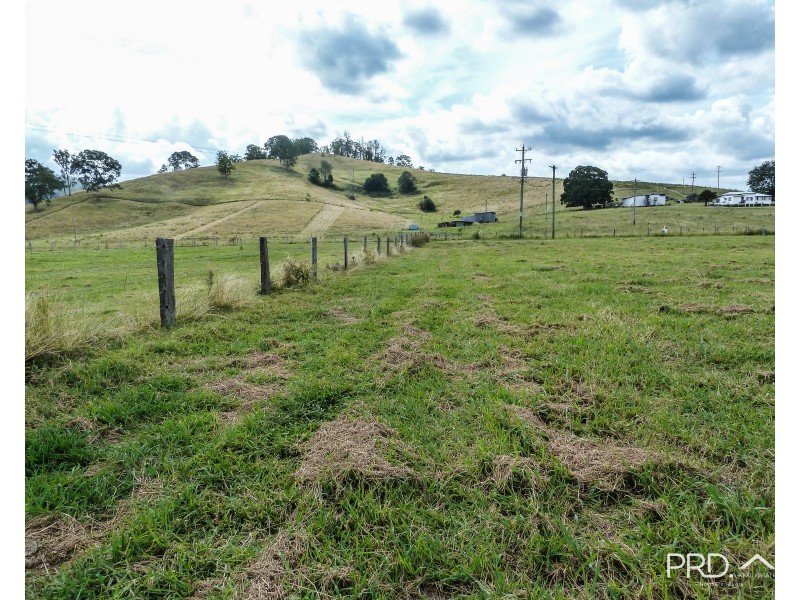 317 Gradys Creek Road, The Risk via, Kyogle NSW 2474