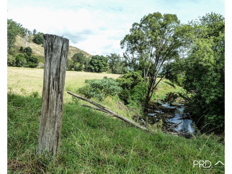 317 Gradys Creek Road, The Risk via, Kyogle NSW 2474