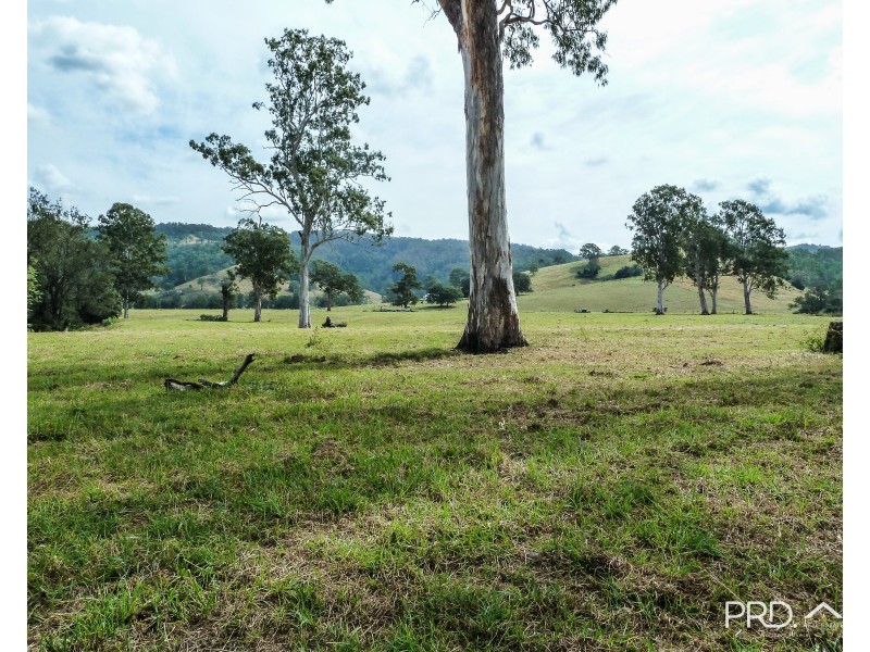 317 Gradys Creek Road, The Risk via, Kyogle NSW 2474