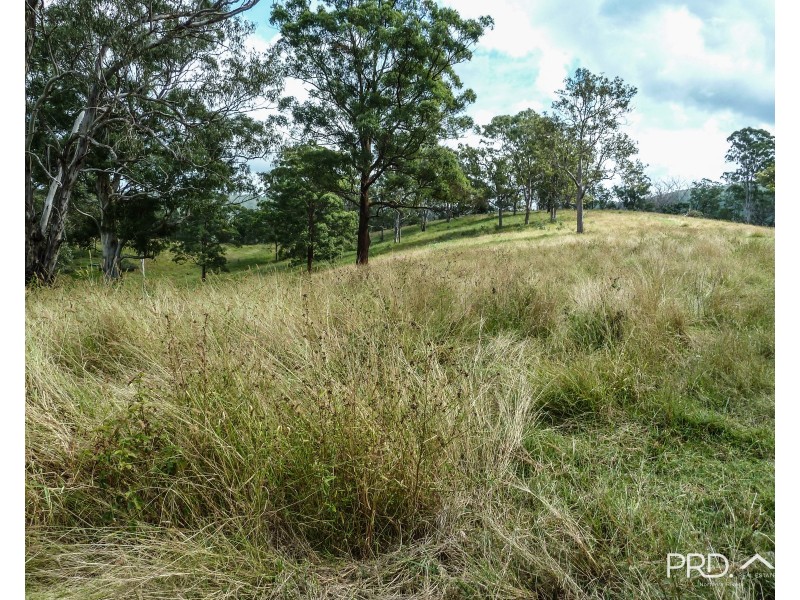 317 Gradys Creek Road, The Risk via, Kyogle NSW 2474