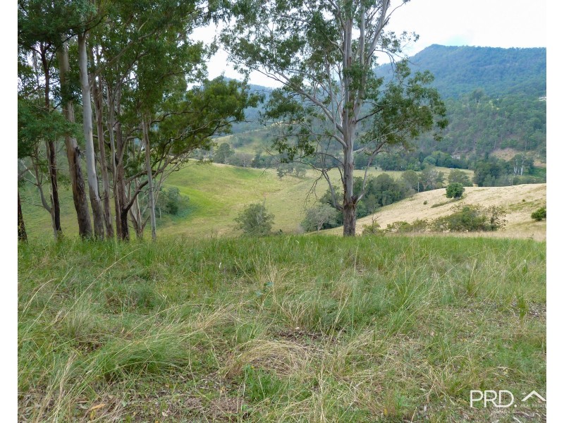317 Gradys Creek Road, The Risk via, Kyogle NSW 2474