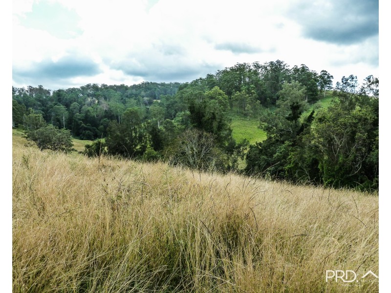 317 Gradys Creek Road, The Risk via, Kyogle NSW 2474