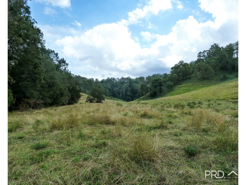 317 Gradys Creek Road, The Risk via, Kyogle NSW 2474