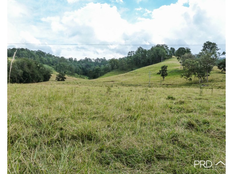 317 Gradys Creek Road, The Risk via, Kyogle NSW 2474
