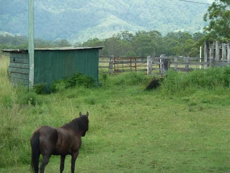 5005 Kyogle Road Cawongla Via, Kyogle NSW 2474