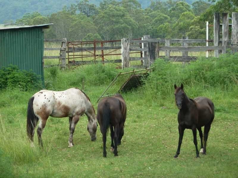 5005 Kyogle Road Cawongla Via, Kyogle NSW 2474