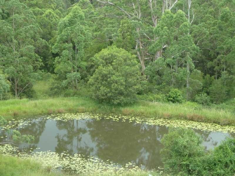 5005 Kyogle Road Cawongla Via, Kyogle NSW 2474