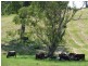 355 Wyndham Road Wyneden, Kyogle NSW 2474