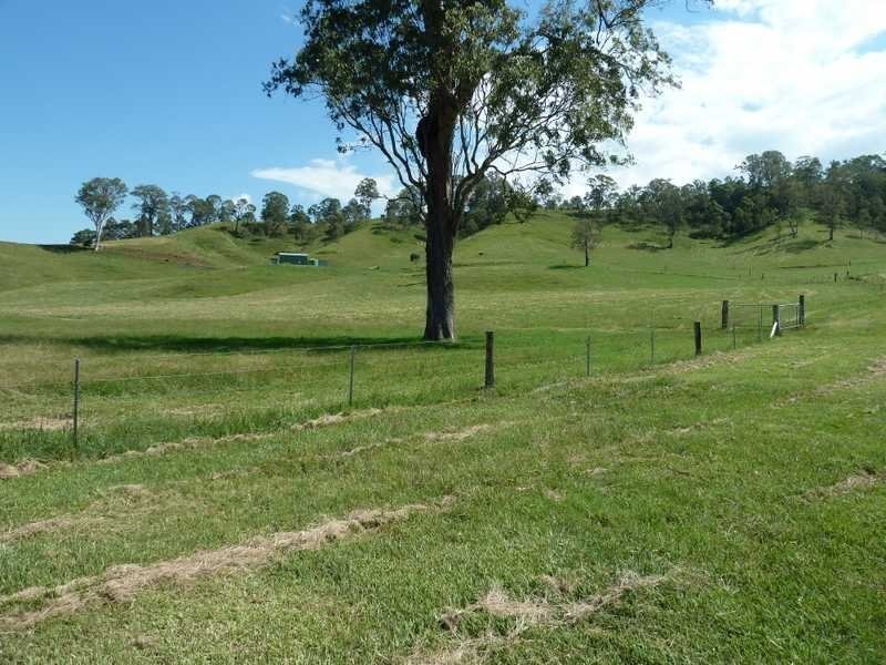 355 Wyndham Road Wyneden, Kyogle NSW 2474