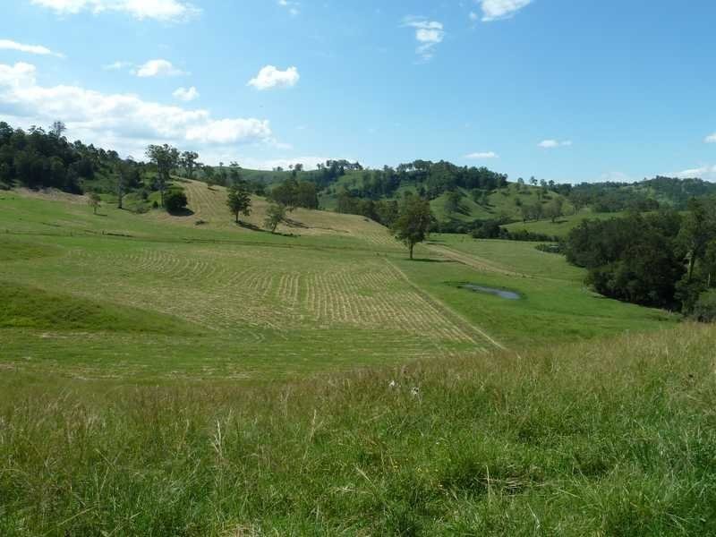 355 Wyndham Road Wyneden, Kyogle NSW 2474
