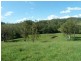 355 Wyndham Road Wyneden, Kyogle NSW 2474