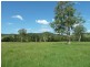 355 Wyndham Road Wyneden, Kyogle NSW 2474