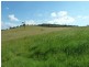 355 Wyndham Road Wyneden, Kyogle NSW 2474