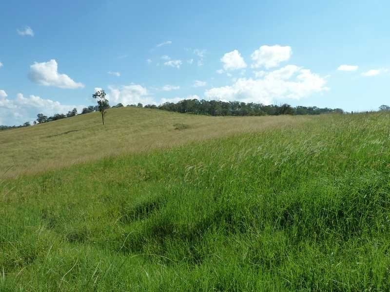 355 Wyndham Road Wyneden, Kyogle NSW 2474