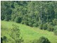 355 Wyndham Road Wyneden, Kyogle NSW 2474
