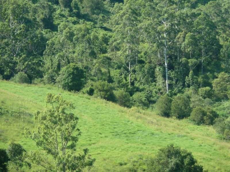 355 Wyndham Road Wyneden, Kyogle NSW 2474