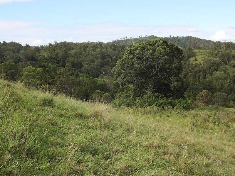 Lot 10 Blackhorse Creek Road Eden Creek Via, Kyogle NSW 2474
