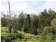 Lot 10 Blackhorse Creek Road Eden Creek Via, Kyogle NSW 2474