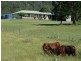 1061 Collins Creek Road, Kyogle NSW 2474