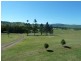 1061 Collins Creek Road, Kyogle NSW 2474