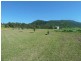 1061 Collins Creek Road, Kyogle NSW 2474