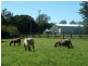 1061 Collins Creek Road, Kyogle NSW 2474