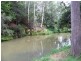 1581 Afterlee Road  Afterlee Via, Kyogle NSW 2474