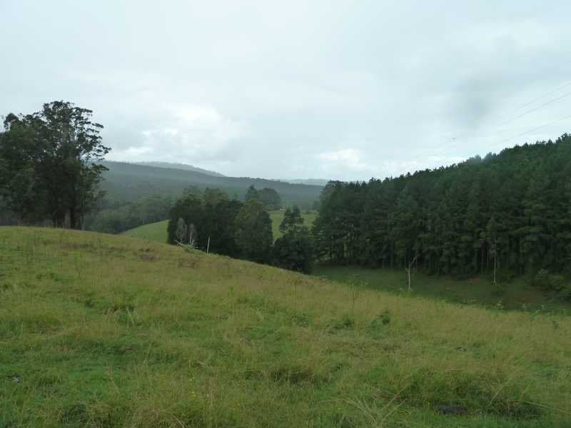 1581 Afterlee Road  Afterlee Via, Kyogle NSW 2474
