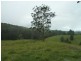 1581 Afterlee Road  Afterlee Via, Kyogle NSW 2474