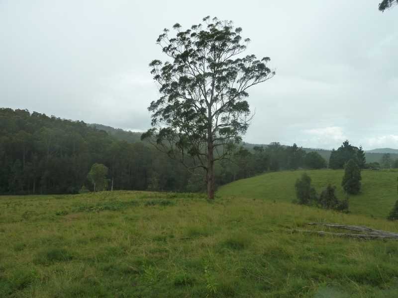 1581 Afterlee Road  Afterlee Via, Kyogle NSW 2474