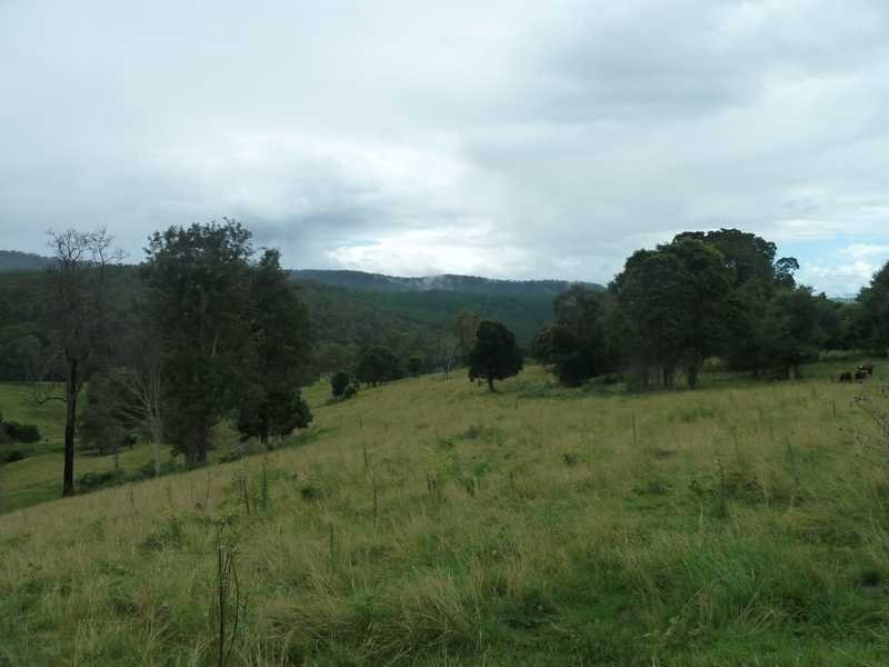 1581 Afterlee Road  Afterlee Via, Kyogle NSW 2474